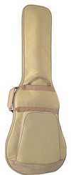 Gig Bag 3.jpg
